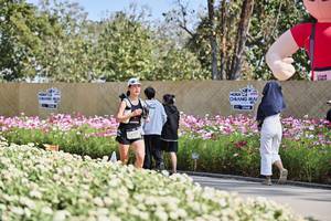 BIB: 
                            <button type="button" onclick="openModal(27804951)" class="btn btn-primary btn-sm float-right btn-popup" data-toggle="modal" data-target=".modal-high-quality">
                        <i class="fas fa-shopping-cart"></i> Add to Cart
                    </button>
                                            <button type="button" onclick="isThisMe(27804951, true)" class="btn btn-success btn-sm float-right btn-popup btn-isme hidden" data-toggle="tooltip" data-placement="bottom" title="นี่คือรูปของคุณใช่ไหม คลิกที่นี่เพื่อเอาเข้าอัลบั้ม">
                        <i class="fas fa-plus"></i> Add to album
                    </button>
                    <button type="button" onclick="isThisMe(27804951, false)" class="btn btn-warning btn-sm float-right btn-popup btn-isnotme hidden">
                        <i class="fas fa-ban"></i> Remove from album
                    </button>